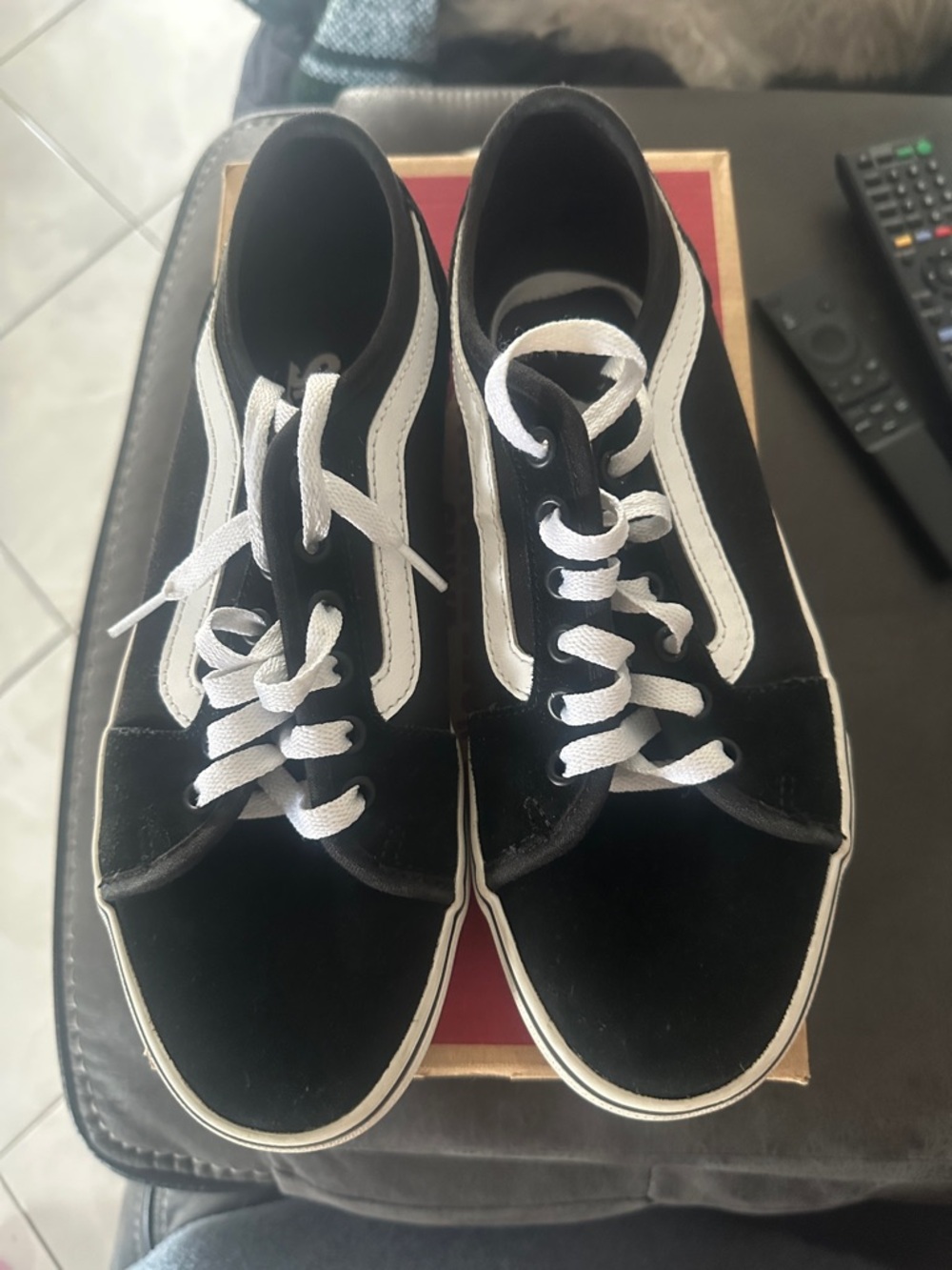 Vans Black and White Low-Top Skate Sneakers